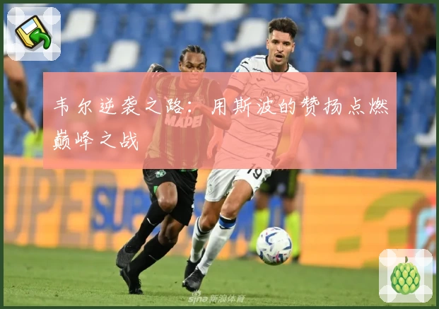 韦尔逆袭之路:用斯波的赞扬点燃巅峰之战
