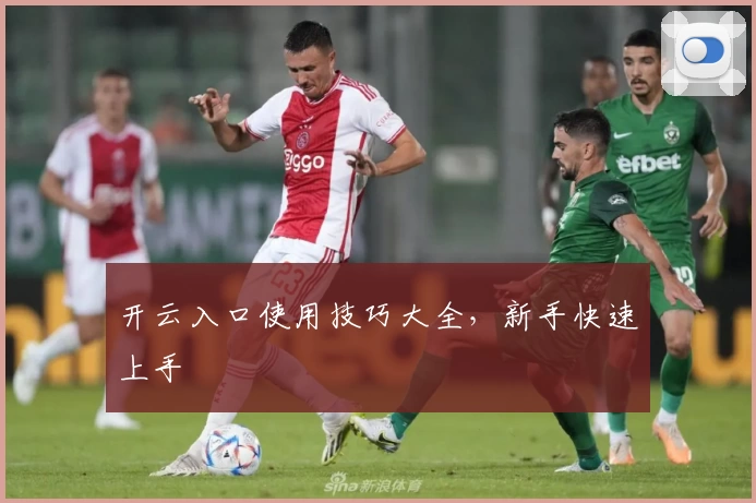 开云入口使用技巧大全，新手快速上手