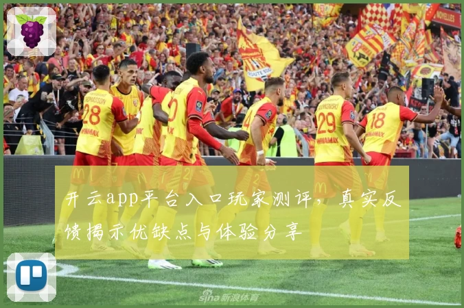 开云app平台入口玩家测评，真实反馈揭示优缺点与体验分享