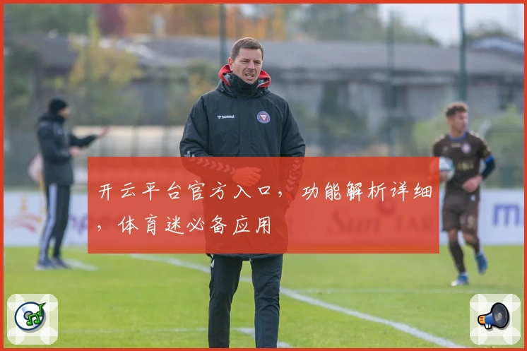 开云平台官方入口，功能解析详细，体育迷必备应用