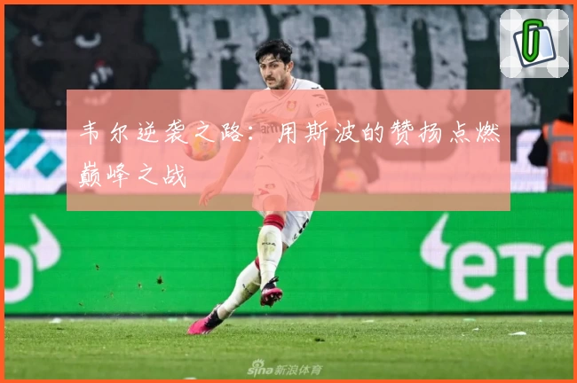 韦尔逆袭之路:用斯波的赞扬点燃巅峰之战
