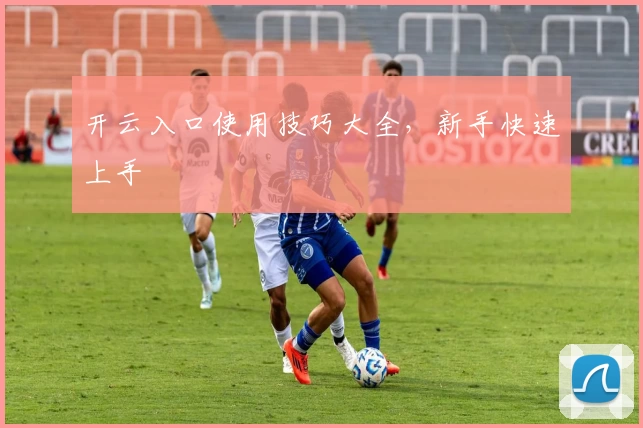 开云入口使用技巧大全，新手快速上手
